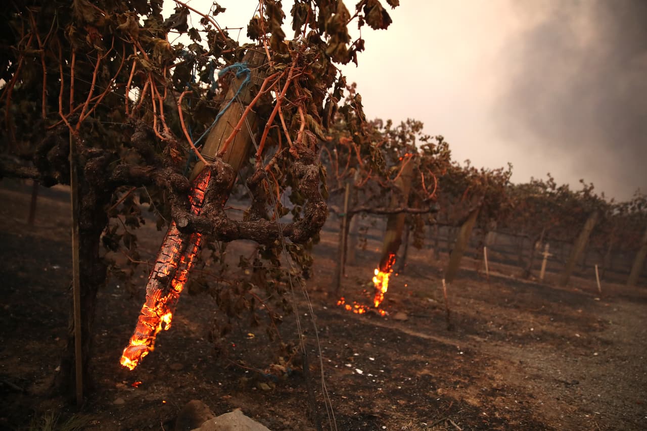 El incendio Kincade quemó más de 10,000 acres en la zona vinicola del norte de California en octubre de 2019.