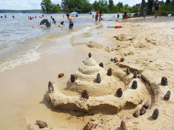 <b>Vive una aventura, los parques estatales te esperan</b>. ¿Qué te parece sumarle aventura a tu fin de semana de Labor Day? 
<b><a href="https://www.univision.com/local/north-carolina-wuvc/jordan-lake-state-recreation-area-destino-de-carolina-del-norte-que-tiene-lo-que-necesitas-para-una-escapada-de-verano-en-2023-fotos">Carolina del Norte cuenta con decenas de parques y zonas recreativas llenas de cuerpos de agua para nadar y pescar</a></b>; senderos propios y que conectan con caminos históricos, parques de aventuras en las alturas y mucho, mucho más.