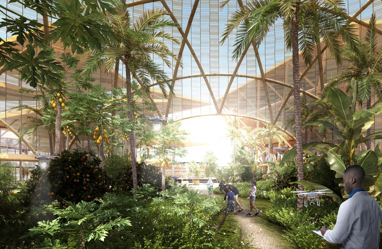 Cada comunidad flotante será un ecosistema que producirá sus propios alimentos, energía y agua dulce con cero desperdicios. Las primeras ciudades de Oceanix podrían desplegarse en las regiones más vulnerables a la subida de los mares, como las ciudades de Nueva York, Los Ángeles, Miami, México D.F., Lima, Sao Paulo, Río de Janeiro, Buenos Aires, Londres, Estambul, El Cairo, Lagos, Bombay, Tokio, Shanghai, Manila, Singapur, Seúl y Sidney, entre otras.