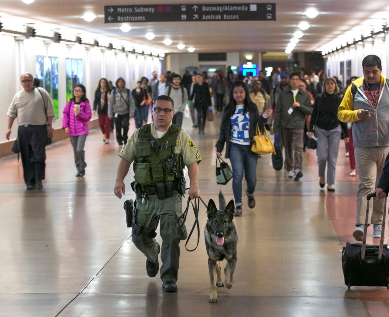 Millones en EEUU viajan con mayor seguridad en Thanksgiving