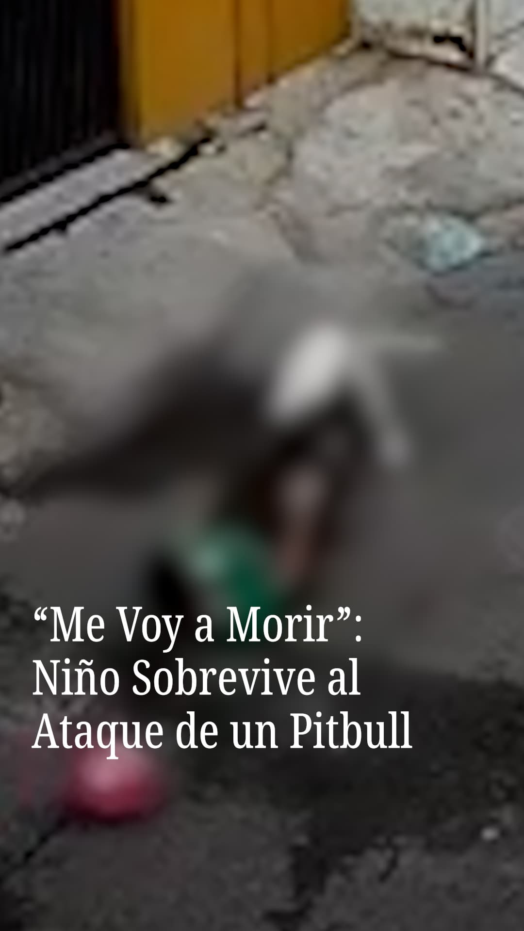 “Me voy a morir”: Niño sobrevive al ataque de un pitbull
