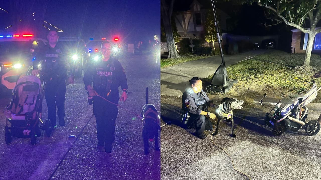 Unidades terrestres, drones y K9 logran localizar a madre e hija desaparecidas en Texas