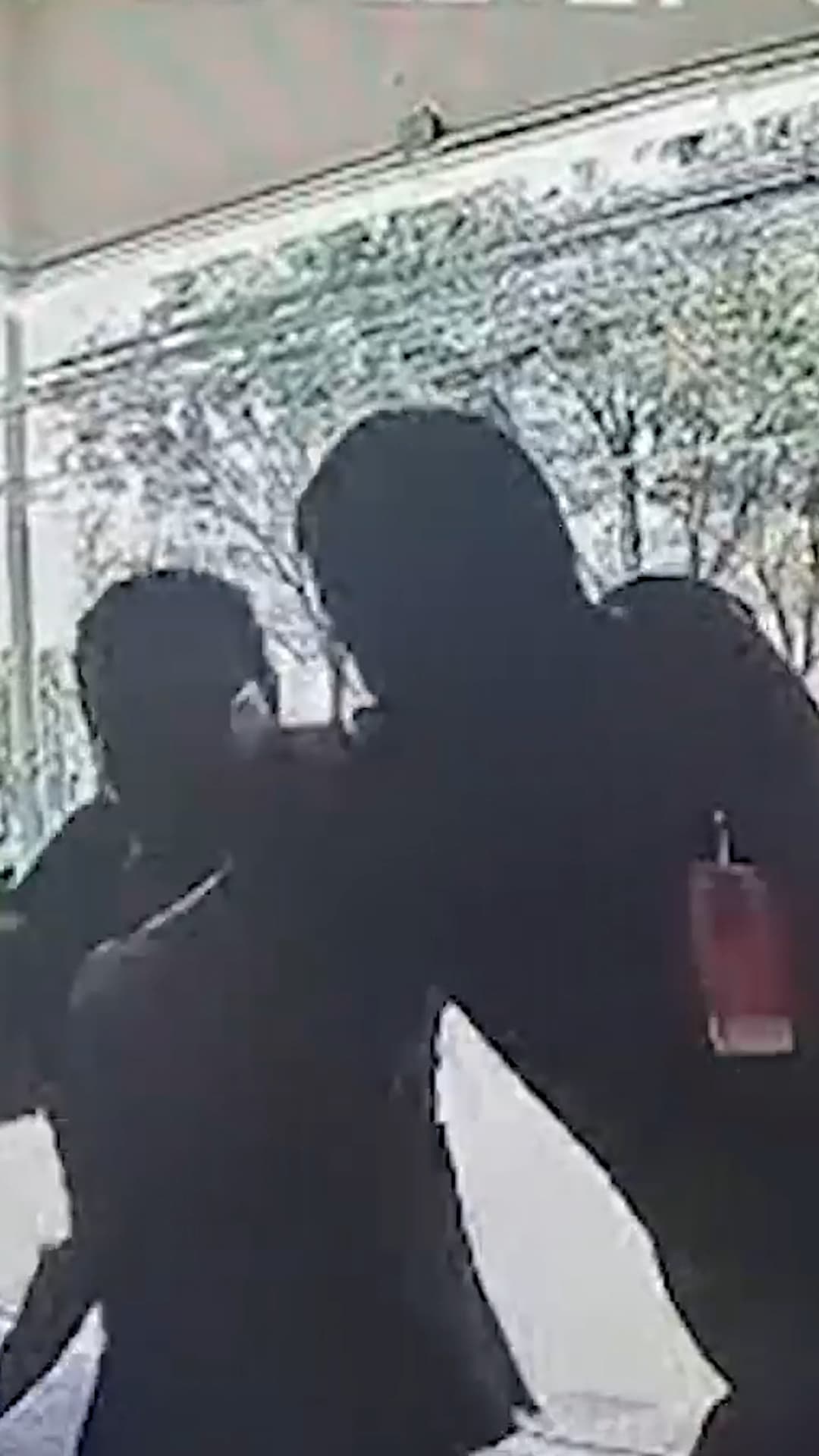 Ataca a un guardia de seguridad y lo detienen