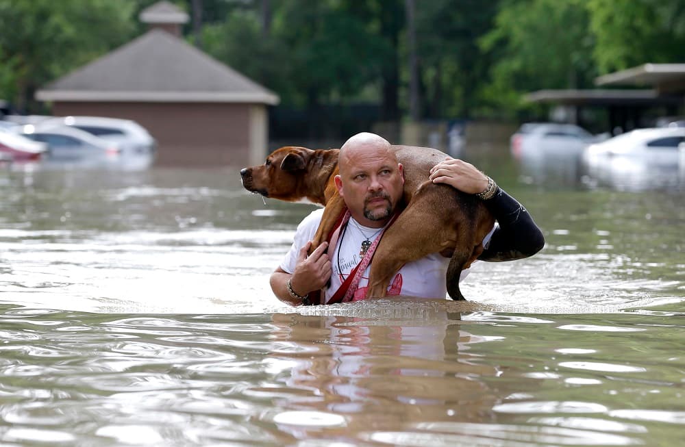 Así está Houston un día después de las mortales inundaciones 