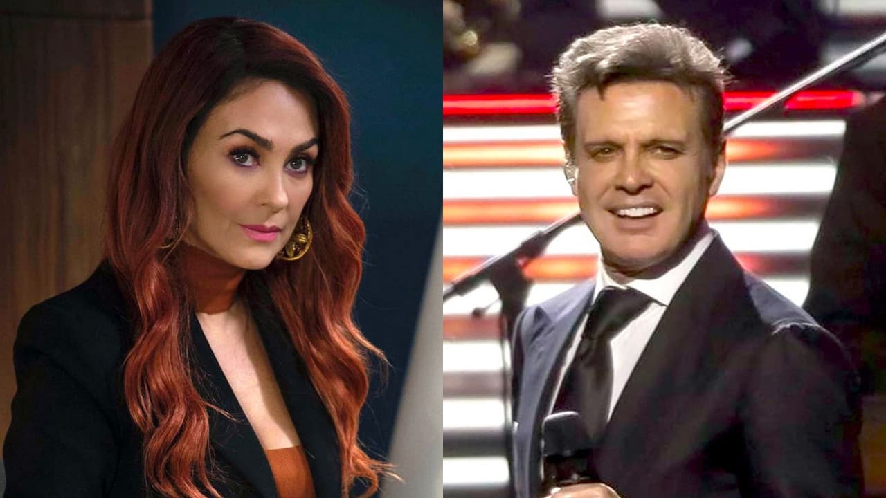 Aracely Arámbula se niega a recibir el dinero de Luis Miguel para sus hijos por esta razón