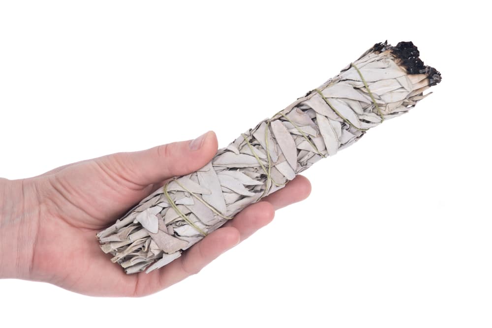 La salvia (o 'sage', como se le conoce en inglés) es una planta realmente maravillosa para hacernos una limpia y alejar toda cosa negativa y tóxica que quiera hacernos daño. Tiene propiedades esotéricas geniales de protección y purificación.