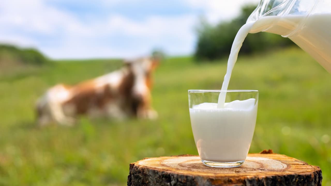 Legislador propone proyecto de ley para definir que es "leche" en Pensilvania