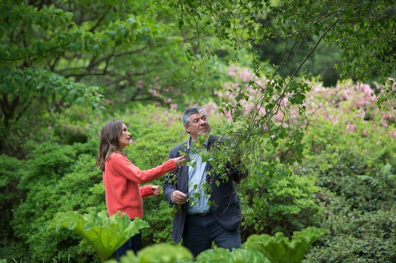 La decoración floral está a cargo de la florista londinense Philippa Craddock, cuyo equipo utilizará rosas blancas, peonías y dedaleras. Adicional a esto también habrá ramas de haya y abedul, para todos los arreglos de flores que se entregarán después de la boda.