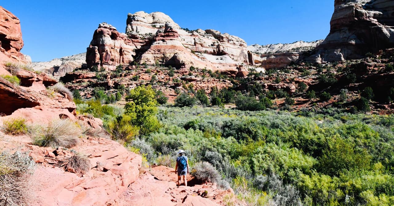 <b><a href="https://mountainstoseatrail.org/">Número 10: Mountains to Sea Trail</a>. </b>El sendero Mountains-to-Sea es la ruta de senderismo estatal de Carolina del Norte. Se extiende 1175 millas desde Great Smoky Mountains hasta Outer Banks, deteniéndose en muchos de los lugares más hermosos del estado a lo largo del camino.