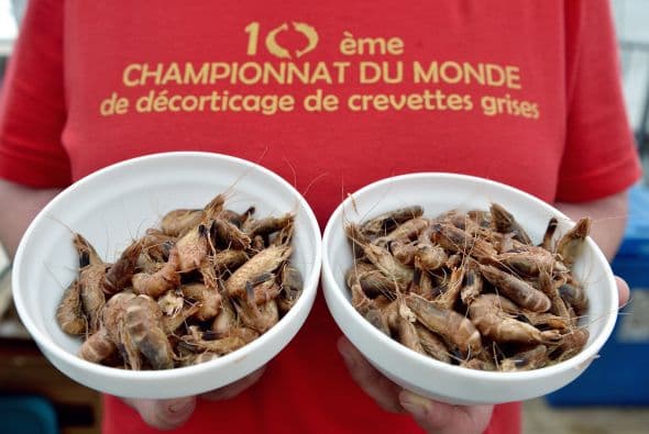 Sin lugar a dudas una extraña competición donde los dedos de las manos son los protagonistas. Cocina con sabor para tus hijos y prepara platillos nutritivos y ricos en casa. Busca más recetas deliciosas aquí.