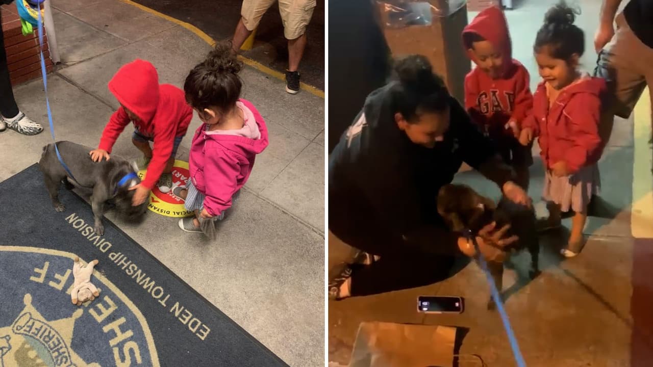 El perro fue recibido con mucha alegría por parte de la familia. Los niños no dejaban de abrazarlo.