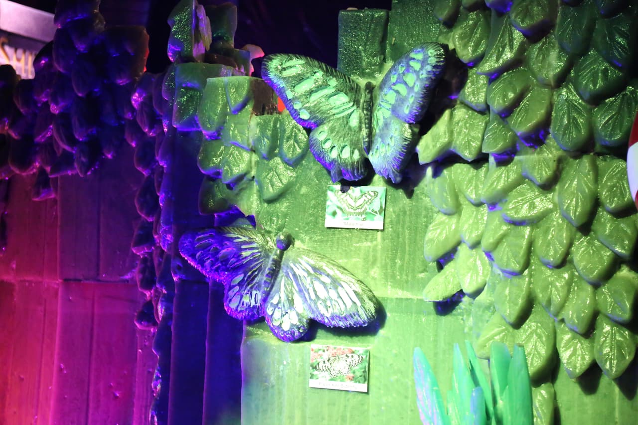 Este año la exhibición recrea una selva tropical.