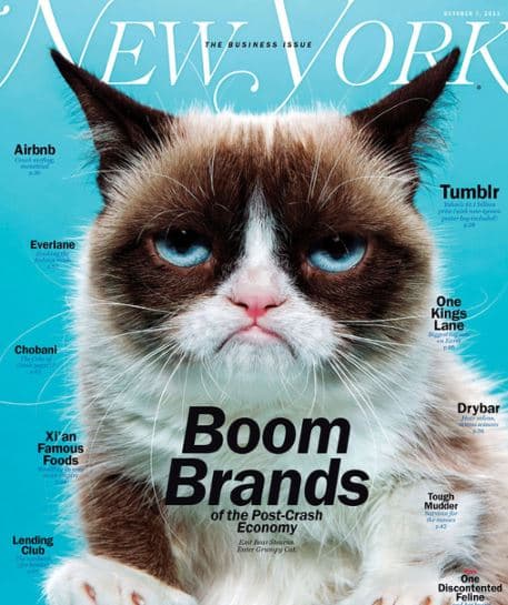 La gata también 
<b>protagonizó una película </b>navideña llamada ‘Grumpy Cat's Worst Christmas Ever’ y hasta estuvo en la portada de la revista New York Magazine.