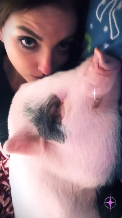 "Es como la canción de Jesse & Joy, '¿Con quién se queda el puerco (perro)?' Por el momento, parte y parte, porque es como un hijo", dijo a Hoy.