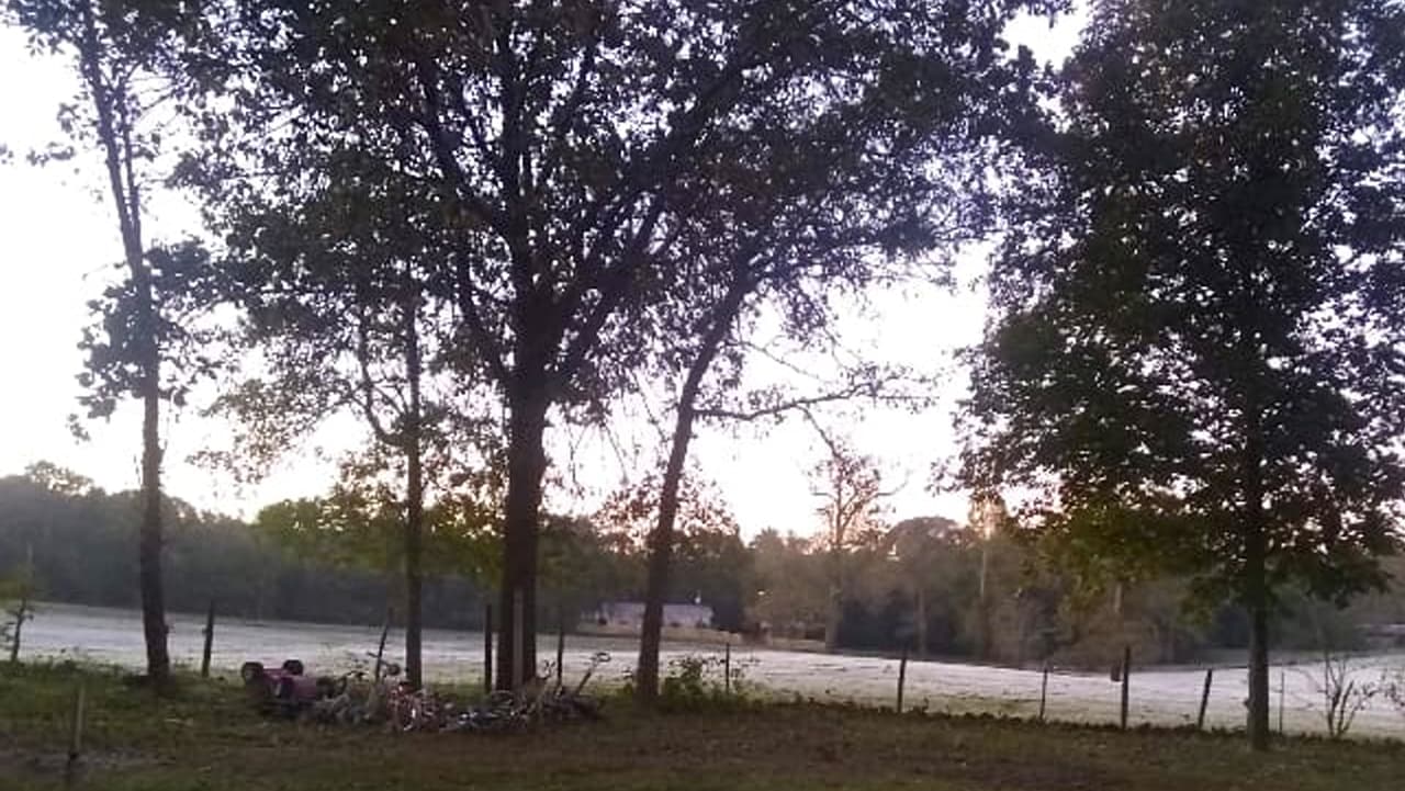 Amanecimos a 26° F muy frío 😣😐.