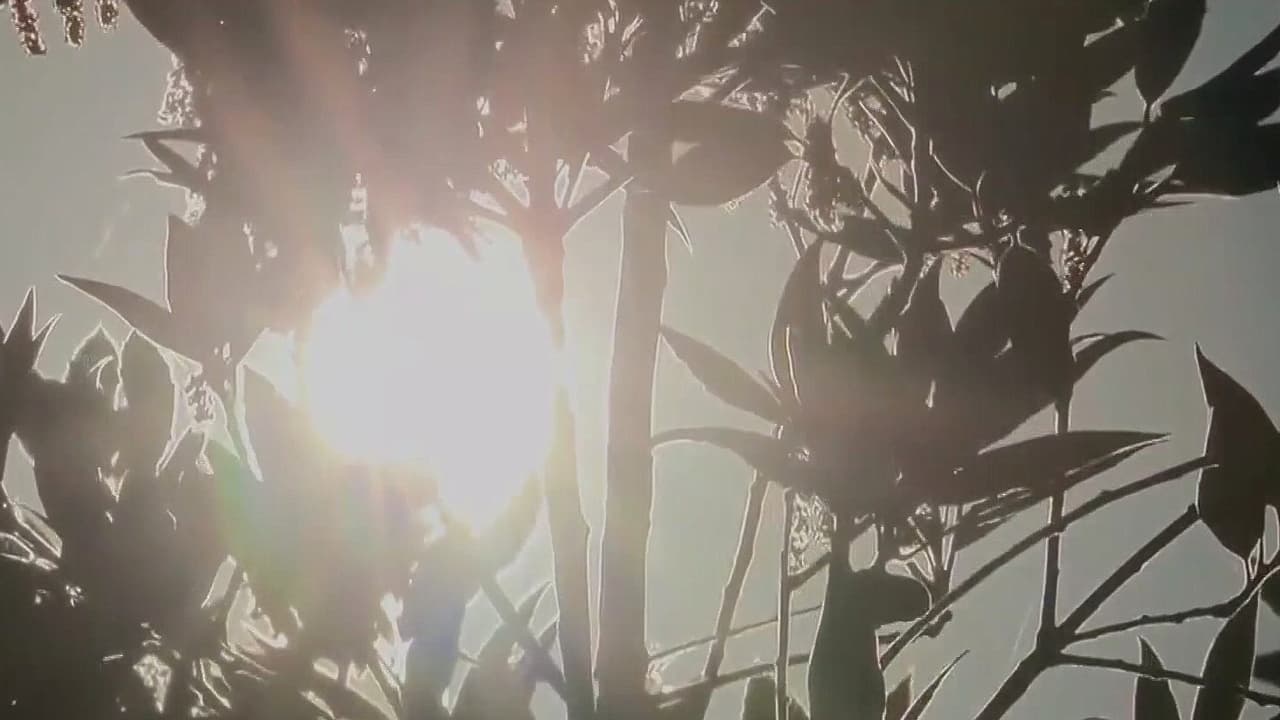 Agosto empata como el mes más caluroso registrado en el planeta desde 1940