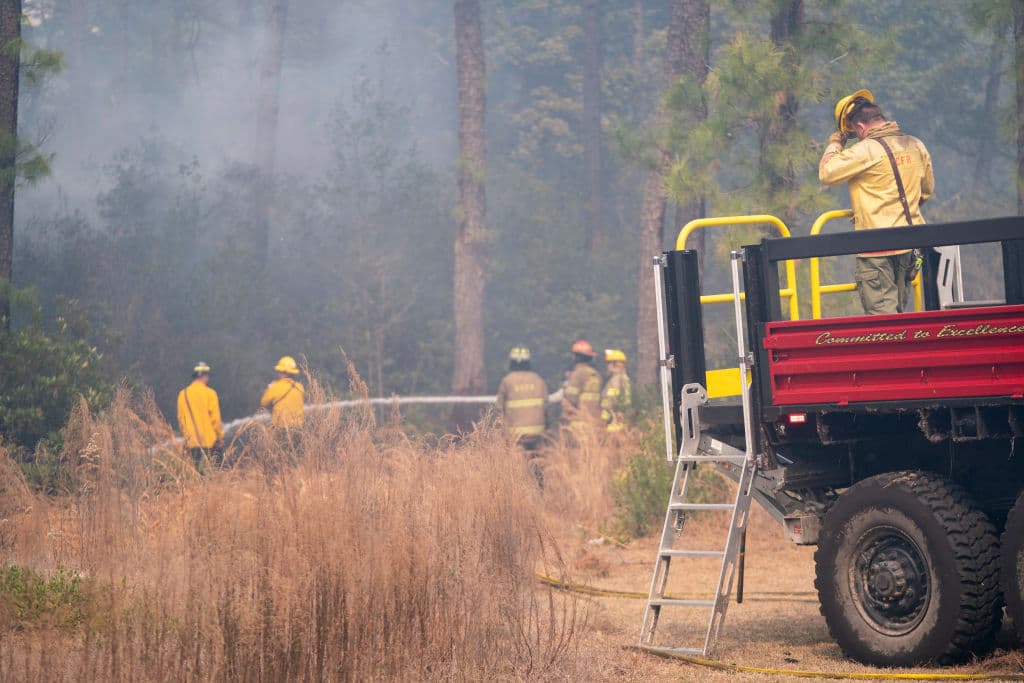 Las autoridades en Carolina del Sur intentaban este domingo entrar a combatir las llamas en parte de la reserva forestal Lewis Bay Ocean Preserve.