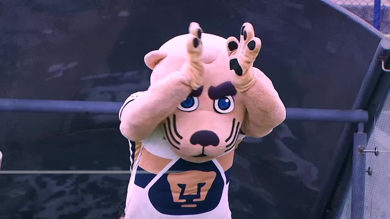 Pumas vs. Querétaro: ¿A qué hora ver el partido de la Liga MX por Las Estrellas?