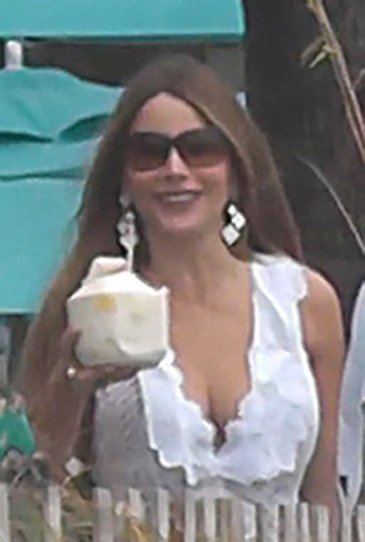 "O bien decidió no beber por respeto a Joe, o está embarazada. Joe tiene muchas ganas de tener hijos con ella y ha dicho que van a empezar a intentarlo enseguida", dijo el informante.