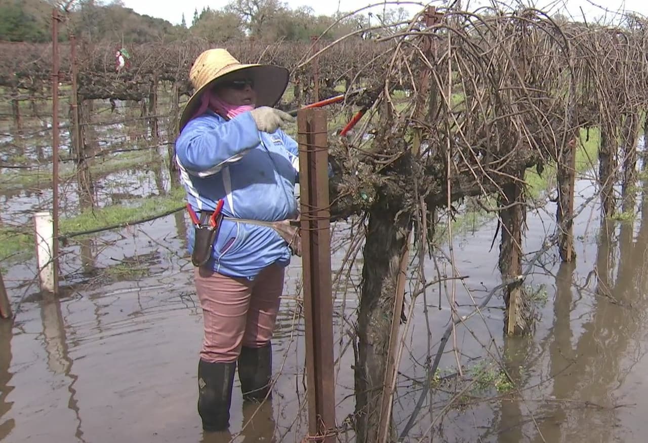 “¿Este es el empleo que les estamos robando?”: el mensaje de una campesina al presidente Trump