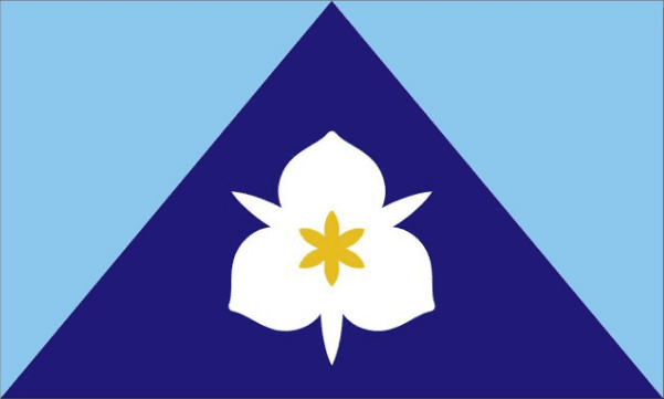 Un estilizado lirio de sego blanco y amarillo dorado se centra en un triángulo isósceles de azul profundo debajo de triángulos azul celeste.