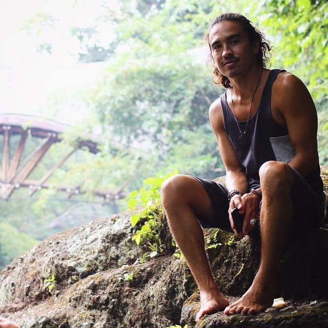 Han reflexionado al internarse en selvas africanas.