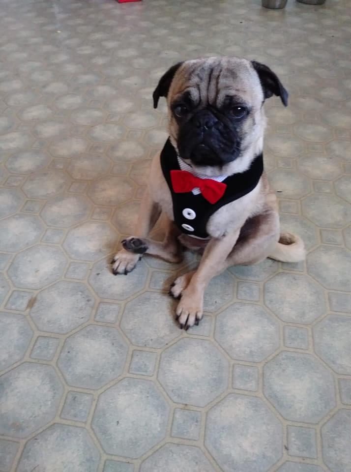 Prosper es el hermoso hijo de María Lira.