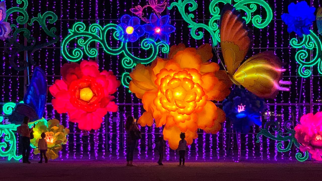 Una magia de luces navideñas llega al área de Houston para ofrecerte un espectacular recorrido que te dejará deslumbrado de diversión.