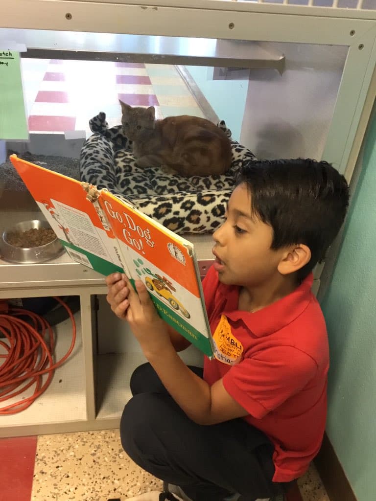 El programa de lectura comenzó como una colaboración entre Glenoaks Elementary en Northside ISD y San Antonio Humane society.