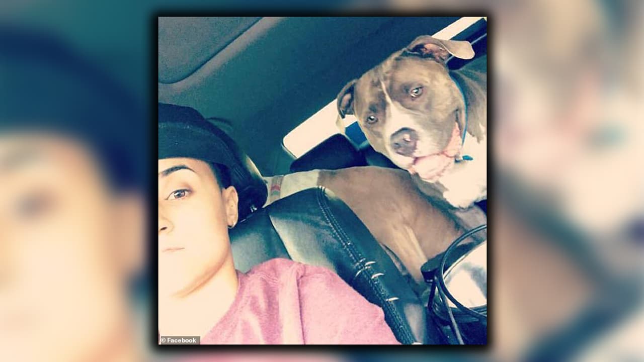 Alexandria Torregrossa, de 29 años, dueña de los perros, fue arrestada y acusada de conducta imprudente