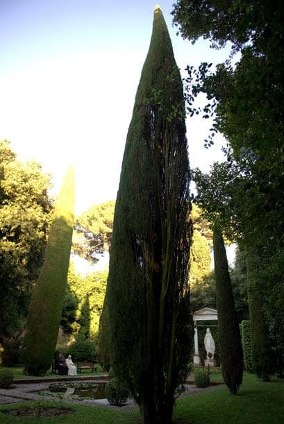 Lleno de jardines, este es el lugar perfecto para que el Papa se tome un tiempo de descanso.