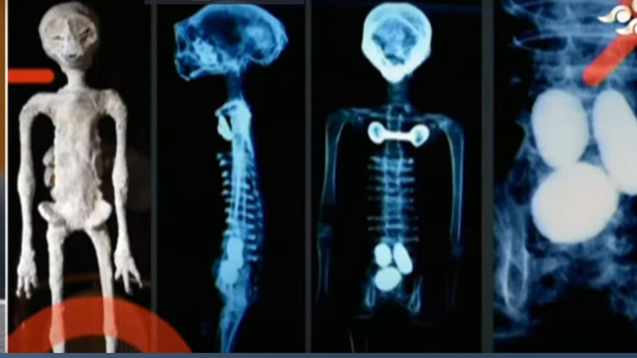 "El ADN nos está demostrando que no son seres humanos, y que no hay nada que se parezca en el mundo a esto", afirmó el periodista y ufólogo Jaime Maussan.