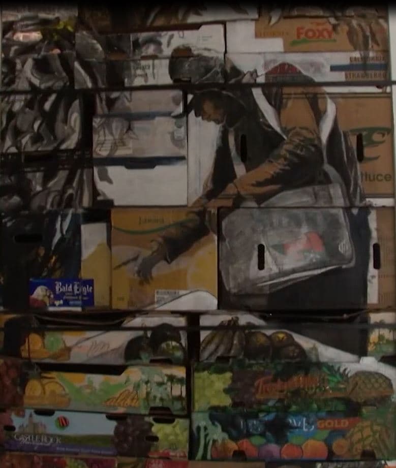 Narsiso asegura que trabajaba desde la 1 am y hasta las 3pm todos los días recogiendo los cultivos por los que les pagaban a centavos la libra.