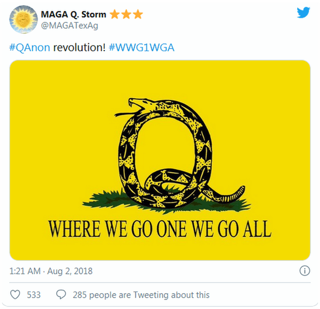 El movimiento del presidente Donald Trump MAGA está ligado a QAnon por sus simpatizantes. La frase "Donde va uno, vamos todos" es importante.
<br>
<br>Igual que el Storm (tormenta) como el día final de la justicia contra los enemigos de Trump. Babbitt escribió que la "tormenta descendía" sobre el Congeso un día antes del asalto al legislativo.
