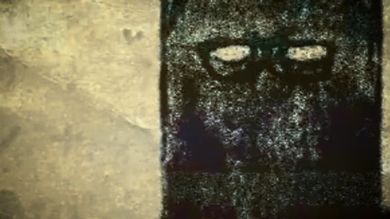 C.D.I. Código de Investigación: Archivos Abiertos Programa 4