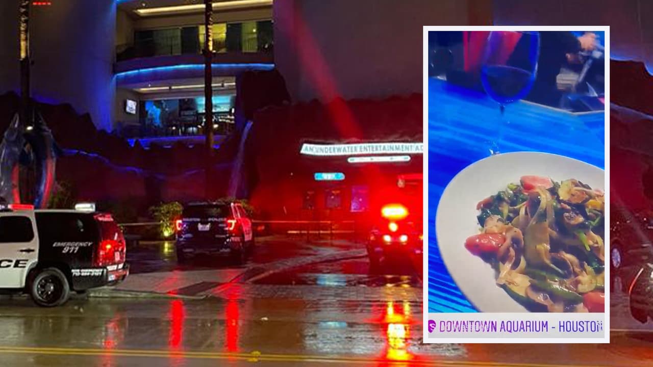 La esposa de Gabriel, quien resultó herida de bala, 
<a href="https://www.univision.com/local/houston-kxln/este-video-fue-grabado-en-el-acuario-de-houston-minutos-antes-del-tiroteo-video" target="_blank">compartió un video en redes sociales</a> momentos antes de que ocurriera el tiroteo.