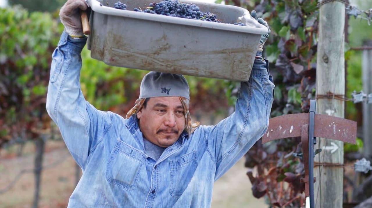 Calor en el Valle Central: trabajadores del campo se preparan y CAL/OSHA recuerda sus derechos