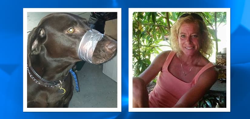FL: Acusada de crueldad animal tras publicar foto de perro amordazado