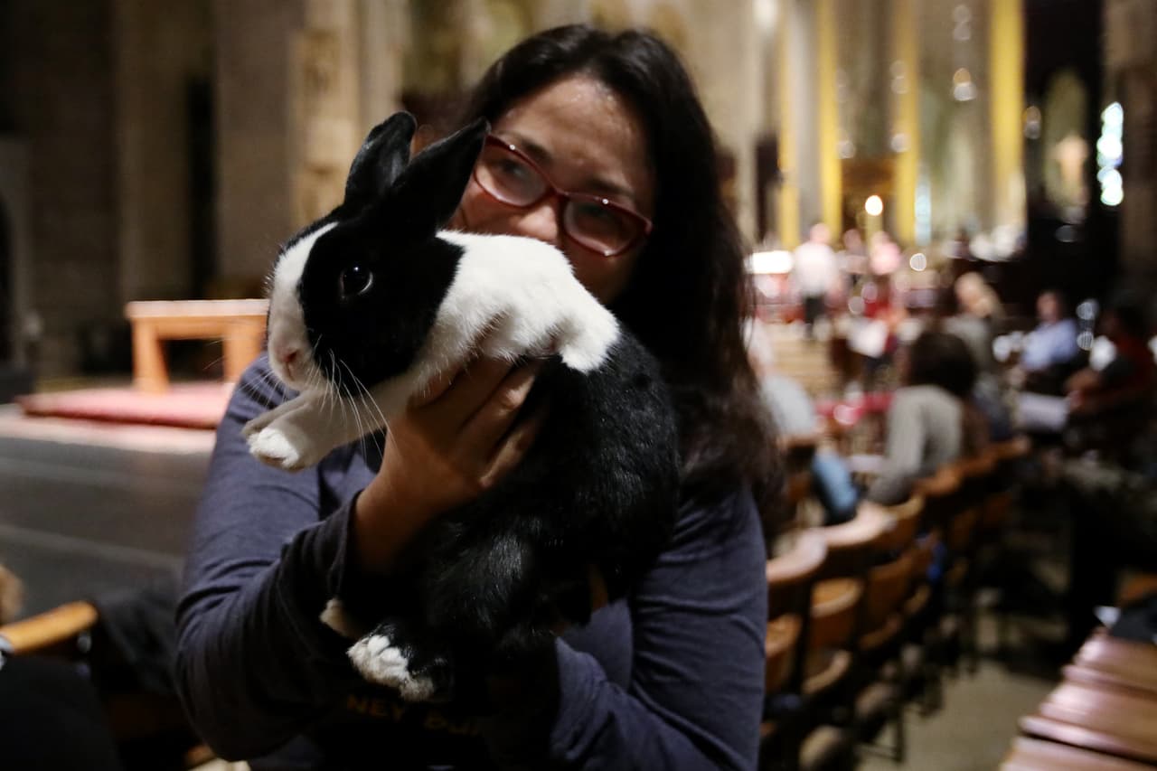 La tradición de la procesión de animales no se había vuelto a hacer dentro de la catedral de St. John the Divine desde 2018.