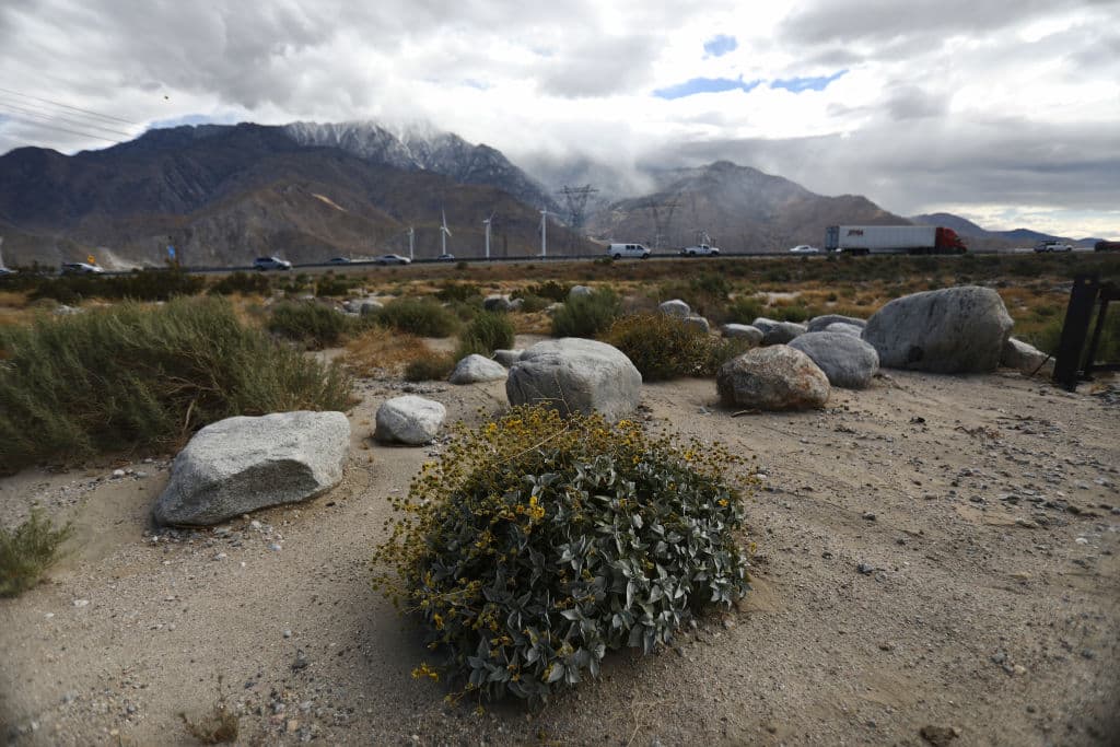 El promedio actual de las temperatura máximas para la zona en riesgo en California es de 101.8 °F, y de cumplirse las proyecciones, el promedio de nivel de calor se sentirá sobre los 115°F