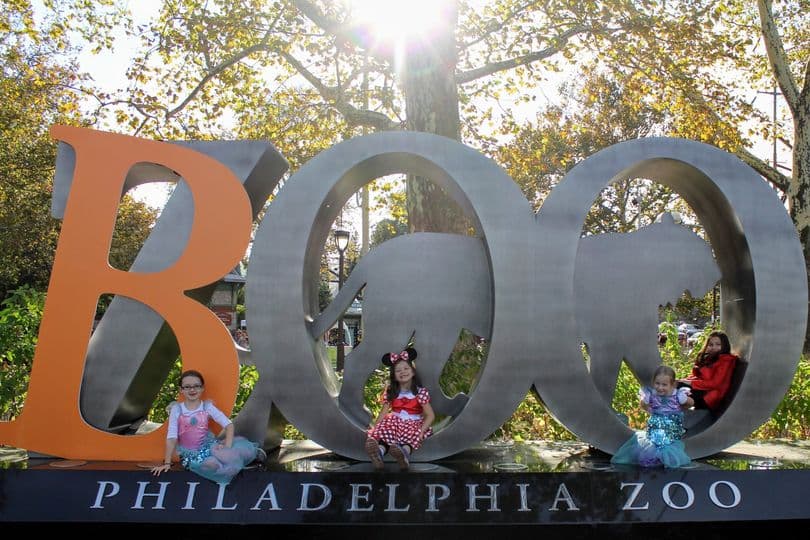 <b><a href="https://philadelphiazoo.org/events/boo-at-the-zoo/" target="_blank">Boo at the Zoo at the Philadelphia Zoo (hasta el 31 de octubre)</a>: </b>Los niños pueden usar sus disfraces para saludar a los animales, tomarse una foto y tomar dulces en las estaciones instaladas en toda la atracción.