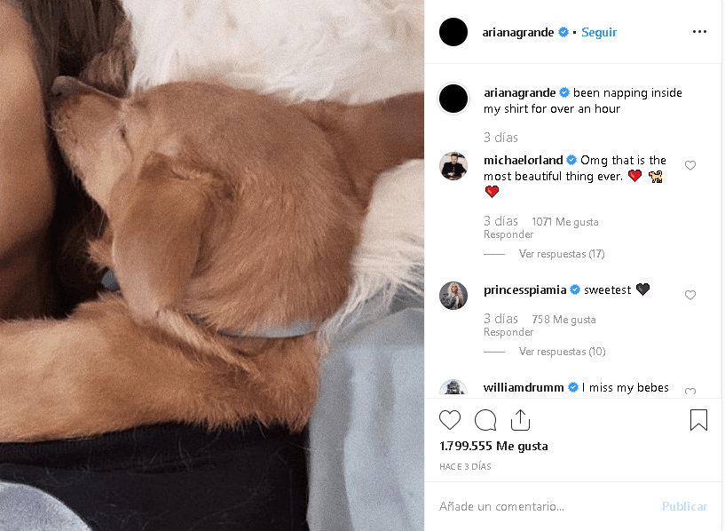 Según lo citado por el diario británico, Ariana llama por teléfono a sus perros cuando está de gira. La intérprete de 
<b><a href="https://www.youtube.com/watch?v=1ekZEVeXwek" target="_blank">'Into you'</a></b> asegura que ellos reconocen su voz y evitan que se deprima.