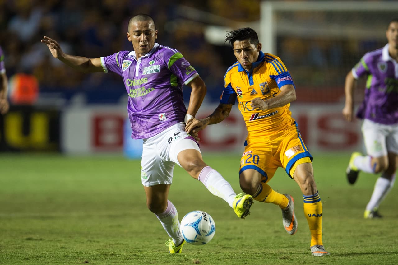 Previo Tigres vs. Chiapas: Duelo inédito entre estos felinos en Liguilla