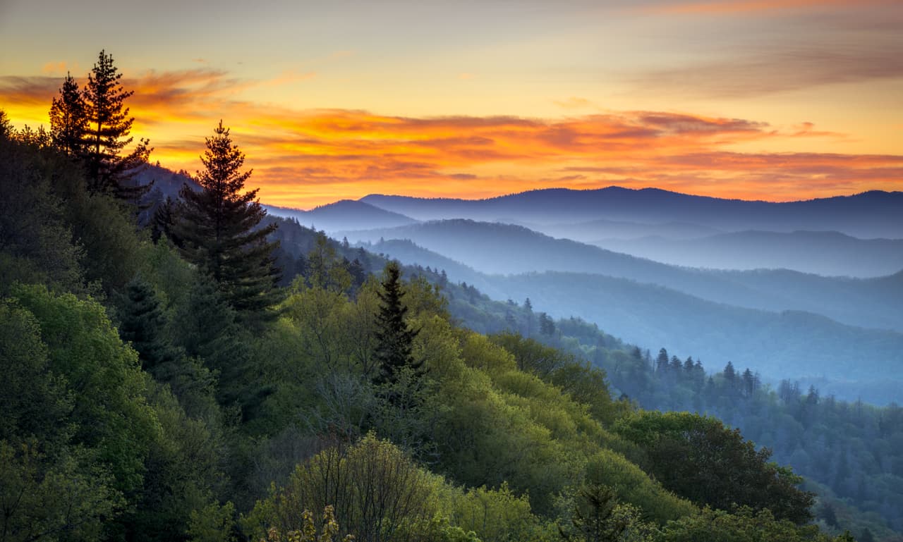 <b>Puesto 3. Parque Nacional Great Smoky Mountains</b>, entre Carolina del Norte y Tennessee: 11,421,200 visitas en 2018. 
<a href="https://www.univision.com/noticias/medio-ambiente/11-imagenes-que-te-provocaran-la-urgencia-de-visitar-el-parque-nacional-mas-cercano-a-donde-estas-fotos">Este parque ocupó el primer lugar en visitas entre los 61 Parques Nacionales</a> el año pasado, seguido por el Parque Nacional Gran Cañón, el Parque Nacional Rocky Mountain, el Parque Nacional Zion y el Parque Nacional Yellowstone.