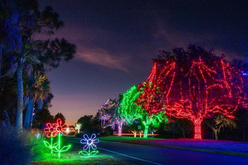 Los visitantes tienen la oportunidad de realizar un recorrido auto guiado para ver las luces desde sus vehículos.