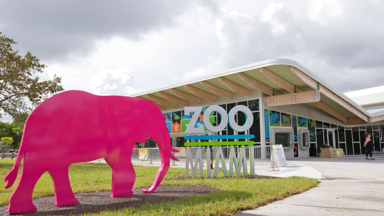 Este elefante recibe a los visitantes del Zoológico de Miami. No tiene nombre, pero sin duda es el ejemplar más colorido.