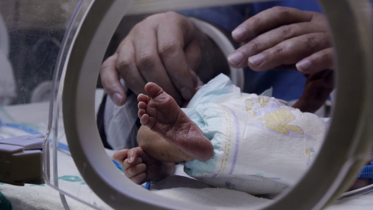 ¿Qué es el enterovirus d68? el virus que pone en alerta a las autoridades