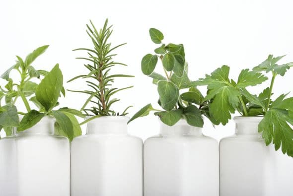 ¡Apúntate estos tips!