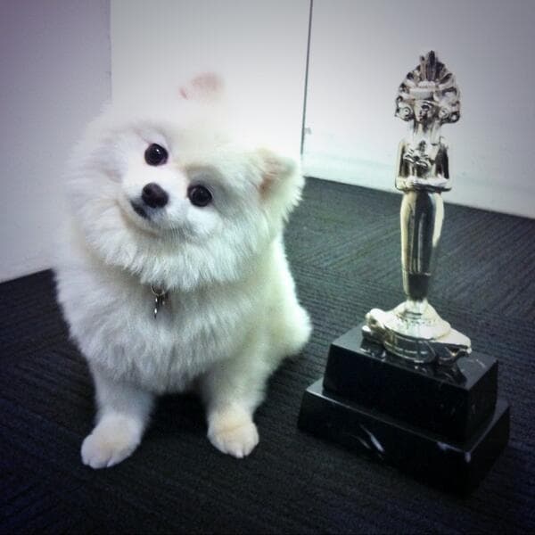 Con esos ojitos tan lindos es imposible no enamorarse de Amor Andrade.