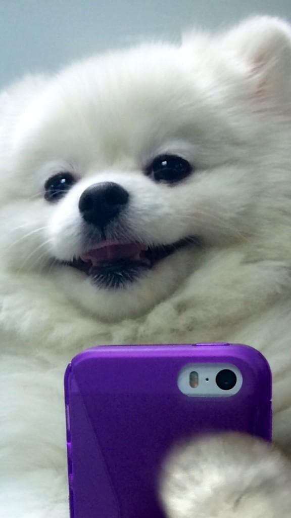 Amor ya es toda una diva.